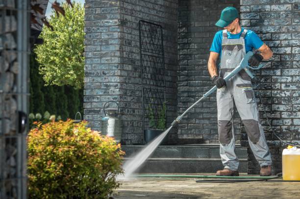 Best Gutter Cleaning  in Crane, MO