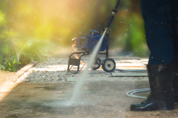 Best Solar Panel Cleaning  in Crane, MO